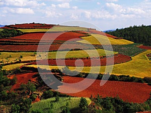 Yunnan red soil dry