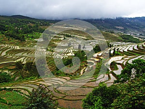 Yunnan rice-paddy terracing photo