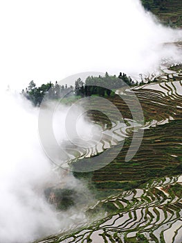 Yunnan rice-paddy terracing photo