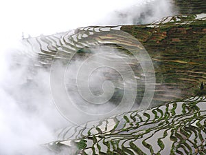 Yunnan rice-paddy terracing