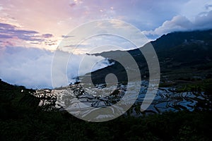 Yunnan rice-paddy terracing