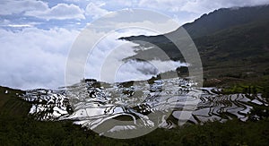 Yunnan rice-paddy terracing photo