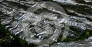 Yunnan rice-paddy terracing