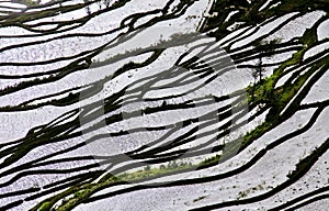 Yunnan rice-paddy terracing photo