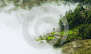 Yunnan rice-paddy terracing photo