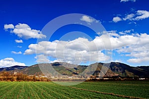 Yunnan scenery photo