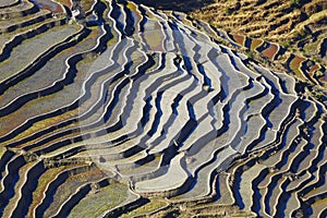 Yunnan terraced rice fields, China