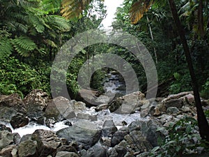 Yunque Waterfall