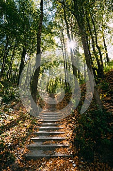 Yurovichi, Belarus. Stairs On Carpet Of Upper Period Of The Paleolithic (26 Thousand Years Ago), Which Occupying photo