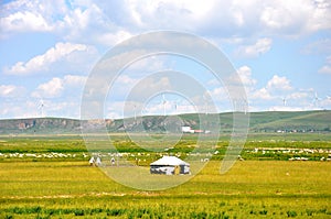 YURT,LIVESTOCK AND WINDMILLS ON THE MEADOW