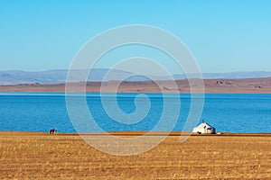 Yurt of Mongolian nomad camp on the shore of a lake