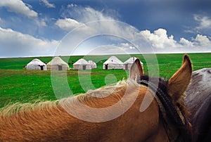 Yurts and horse in Kyrgyzstan