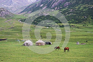 Yurts and horses in Kyrgyzstan