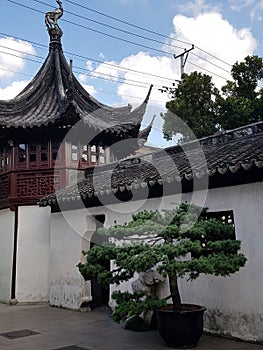 The Yuyuan Garden at Shanghai, China