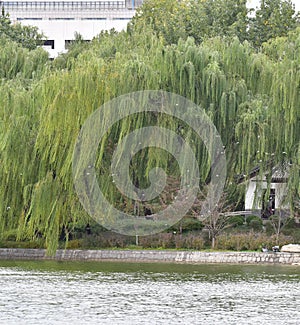 Yuyuantan Park is part of the scenery photo