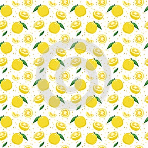 Yuzu japanese citron fruit seamless pattern vector illustration isolated on white background.