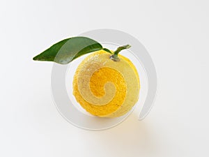 Yuzu placed on a white background