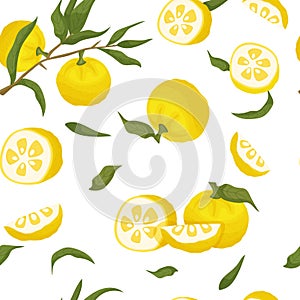 Yuzu seamless pattern. Citrus junos fabric design.