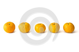 Yuzu on the white background