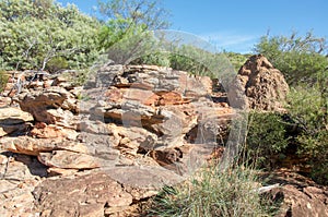 Z-Bend: Sandstone and Termite Mound