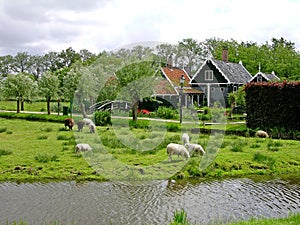Zaanse Schans village, Netherlands