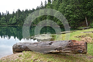 Zabojsko lake Montenegro