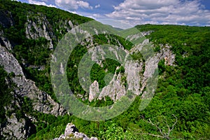 Zadielska tiesnava gorge at summer with beech forest