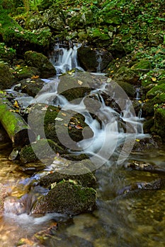 Zadielska valley with a picturesque stream and green vegetation