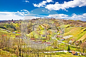 Zagorje region green vineyard hills