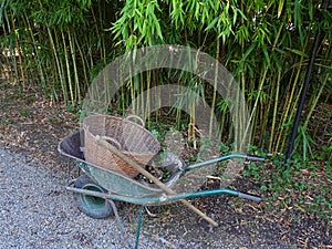 Zagreb Botanical garden by summer