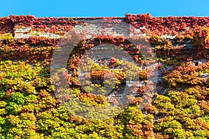 Zagreb, Croatia - October 2018. Autumn leaves as decoration on chapels and tombstones in the cemetery in the fall