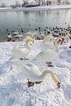 Zagreb, Jarun lake