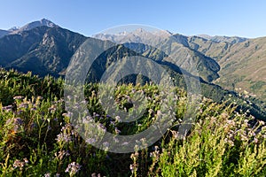 The Zailiyskiy Alatau Mountains in Almaty, Tien Shan mountain system in Kazakhstan. Big Almaty Peak and two Brothers in the