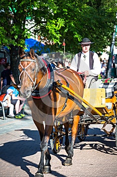 Zakopane, Poland-July 3, 2015:Harnessed Horse stands, at the Krupo