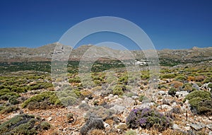 Zakros Village in Crete