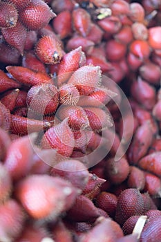 Zalacca fruit in the market