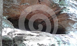 Zaleski state forest