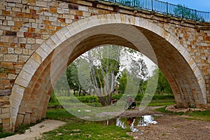 Zamora bridge and bike pilgrim of Via de la Plata