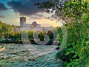 Zamora Cathedral surrounded by meadows and trees at dawn, Zamora, Spain