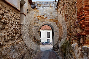 Zamora door of Dona Urraca in Spain photo