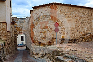 Zamora door of Dona Urraca in Spain photo