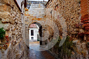 Zamora door of Dona Urraca in Spain photo