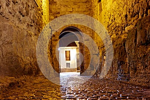 Zamora door of Dona Urraca in Spain photo