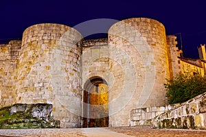 Zamora door of Dona Urraca in Spain photo