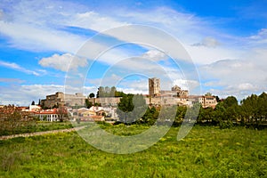 Zamora spring field skyline Spain