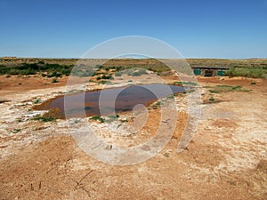 Zandhoendrinkplaats, Belchite, Spanje; Sandgrouse drinking pool, Belchite, Spain photo