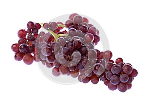 Zante Currants Isolated