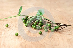 Zanthoxylum and Coccinia grandis is Thai herb that use in food