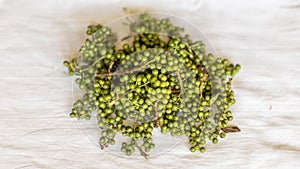 Zanthoxylum green berries that are use in food to add taste and flavor