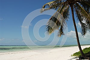Zanzibar beach photo